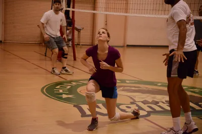 DSC_1890 (Large).JPG